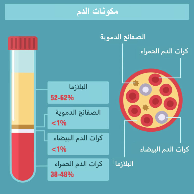 تجربتي مع مخزون البويضات