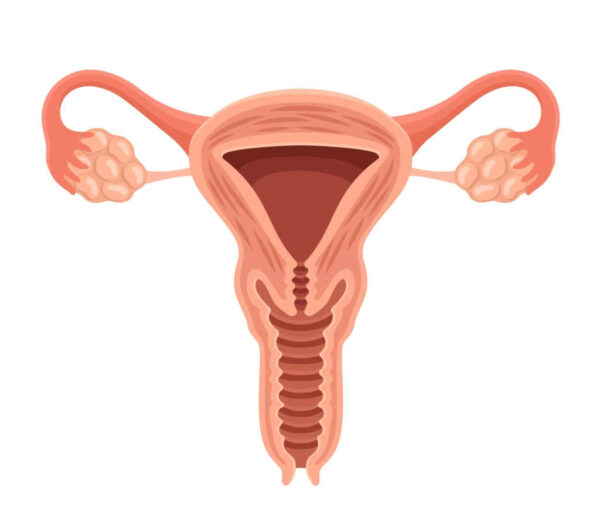 حدوث الحمل بعد منظار الرحم