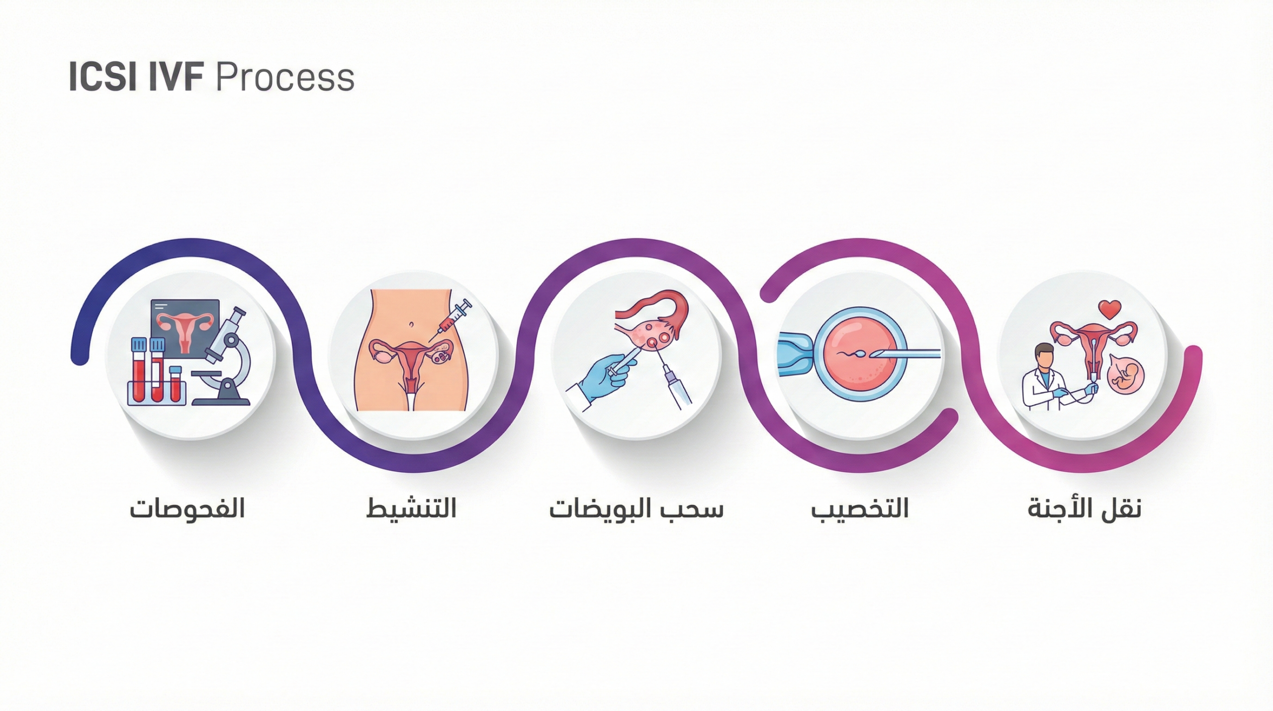 مراحل الحقن المجهري خطوة بخطوة