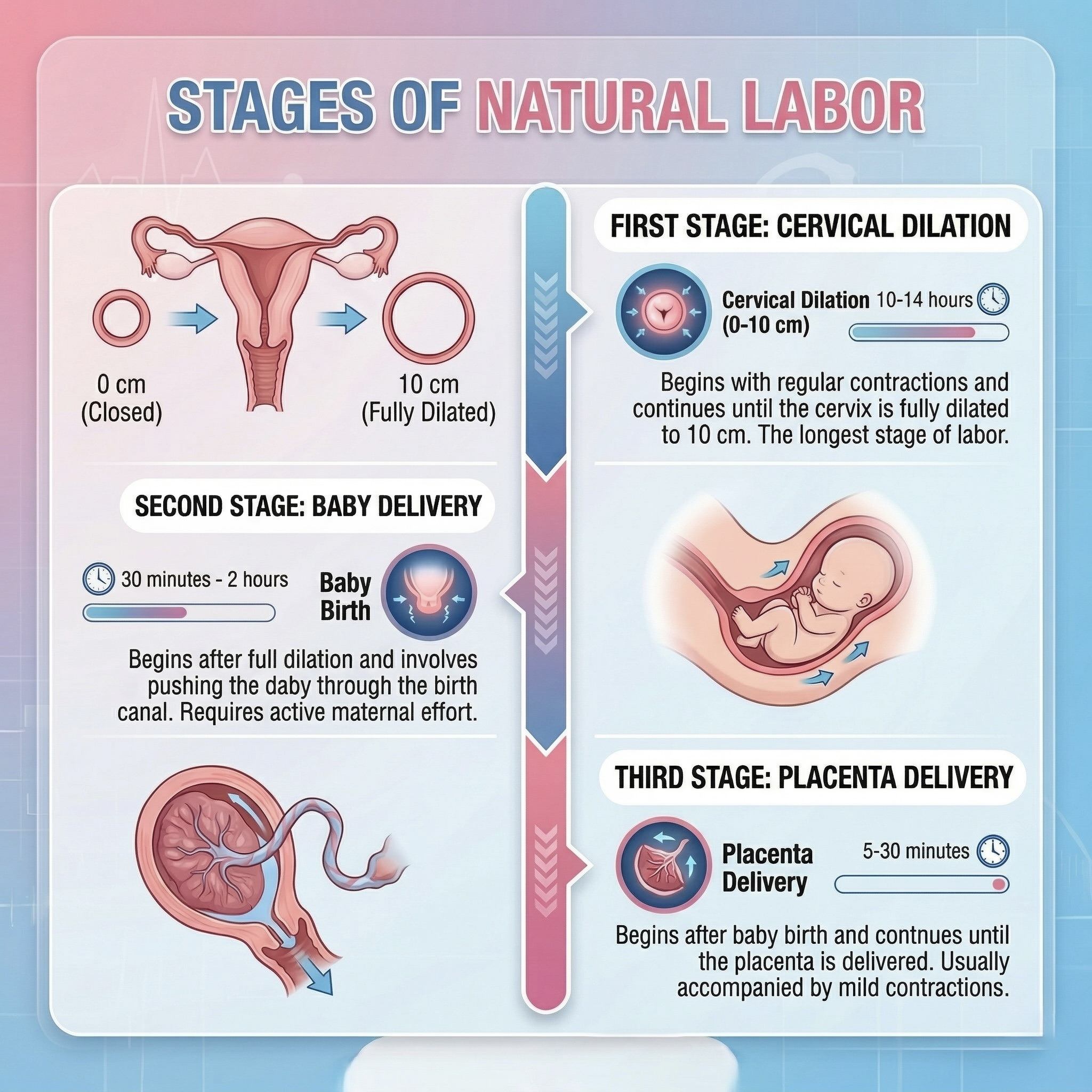 The three stages of natural childbirth