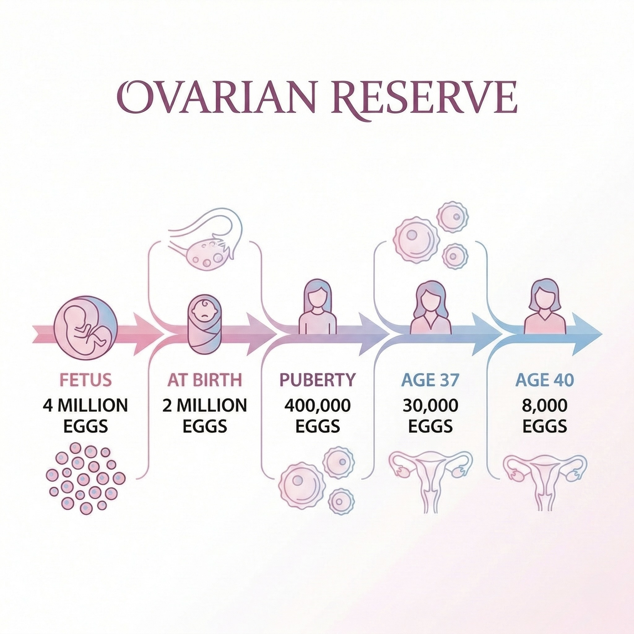Ovarian Reserve Infographic by Age